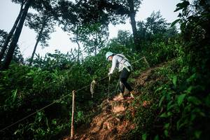 BIB: 
                            <button type="button" onclick="openModal(26203475)" class="btn btn-primary btn-sm float-right btn-popup" data-toggle="modal" data-target=".modal-high-quality">
                        <i class="fas fa-shopping-cart"></i> Add to Cart
                    </button>
                                            <button type="button" onclick="isThisMe(26203475, true)" class="btn btn-success btn-sm float-right btn-popup btn-isme hidden" data-toggle="tooltip" data-placement="bottom" title="นี่คือรูปของคุณใช่ไหม คลิกที่นี่เพื่อเอาเข้าอัลบั้ม">
                        <i class="fas fa-plus"></i> Add to album
                    </button>
                    <button type="button" onclick="isThisMe(26203475, false)" class="btn btn-warning btn-sm float-right btn-popup btn-isnotme hidden">
                        <i class="fas fa-ban"></i> Remove from album
                    </button>